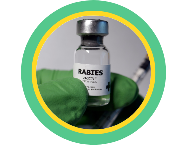 Rabies Prevention
